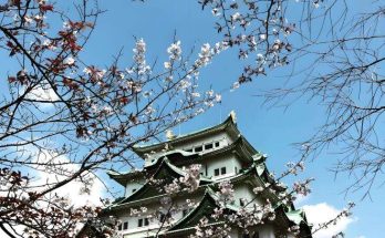 名古屋景點地圖全攻略：私房秘境×賞櫻名所×親子設施，一鍵收藏玩透透！