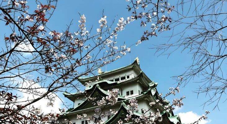 名古屋景點地圖全攻略：私房秘境×賞櫻名所×親子設施，一鍵收藏玩透透！