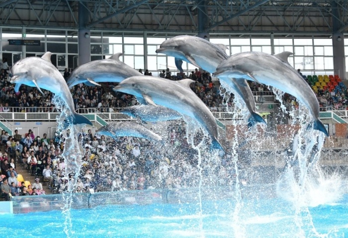 東京迪士尼樂園 東京迪士尼樂園