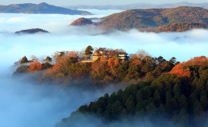 日本岡山交通 日本岡山交通