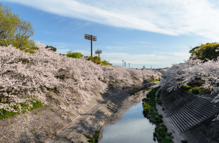 名古屋賞櫻景點​